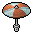 Orange Parasol - N/A      N/A     N/A     N/A     